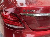 Cần bán gấp Mercedes E250 năm 2017