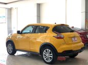 Cần bán gấp Nissan Juke AT năm 2016, xe nhập còn mới