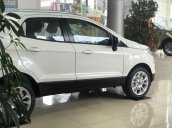 Bán xe Ford EcoSport Titanium 2021, giá chỉ từ 575 triệu, sẵn đủ màu, hỗ trợ 150 triệu lăn bánh