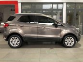 Bán Ford EcoSport sản xuất năm 2014, màu xám 