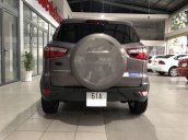 Bán Ford EcoSport sản xuất năm 2014, màu xám 