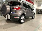 Cần bán Ford EcoSport 1.5 AT Titanium đời 2014, màu xám chính chủ