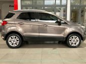 Cần bán Ford EcoSport 1.5 AT Titanium đời 2014, màu xám chính chủ