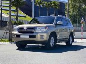 Bán ô tô Toyota Land Cruiser đời 2009, màu vàng, nhập khẩu 