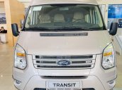 Bán Ford Transit Limousine năm sản xuất 2021, màu bạc