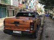 Cần bán lại xe Ford Ranger Wildtrak năm sản xuất 2018, nhập khẩu như mới