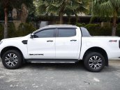 Cần bán gấp Ford Ranger Wildtrak đời 2019, màu trắng, nhập khẩu nguyên chiếc