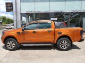 Cần bán lại xe Ford Ranger đời 2016, màu nâu