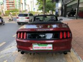 Bán Ford Mustang EcoBoost Convertible 2016 siêu hiếm