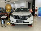 Land Cruiser Prado 2021, đủ màu giao ngay