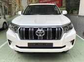 Land Cruiser Prado 2021, đủ màu giao ngay