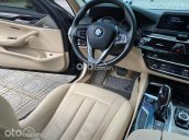 Bán ô tô BMW 520i sản xuất 2019, màu đen