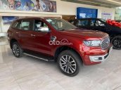 Hỗ trợ trả góp lên đến 80% Ford Everest 2.0 AT 4x4 2021 nhập khẩu lãi suất thấp