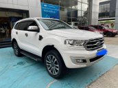 Cần bán lại xe Ford Everest Titanium sản xuất 2018, nhập khẩu nguyên chiếc chính chủ