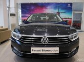 Volkswagen Passat Bluemotion màu đen lịch lãm - khuyến mãi đến 200 triệu