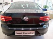 Volkswagen Passat Bluemotion màu đen lịch lãm - khuyến mãi đến 200 triệu