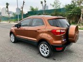 Cần bán lại xe Ford EcoSport đời 2019, màu nâu chính chủ