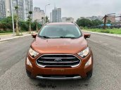 Cần bán lại xe Ford EcoSport đời 2019, màu nâu chính chủ