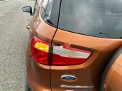 Cần bán lại xe Ford EcoSport đời 2019, màu nâu chính chủ