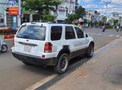 Bán Ford Escape năm sản xuất 2004, màu trắng, xe nhập còn mới