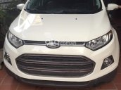 Cần bán Ford EcoSport năm sản xuất 2015, màu trắng số tự động, chính chủ