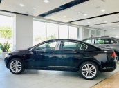 Xe Volkswagen Passat - Hỗ trợ trước bạ 100%