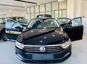 Xe Volkswagen Passat - Hỗ trợ trước bạ 100%