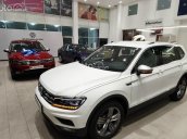 Bán Xe Volkswagen Tiguan S màu hot nhất