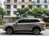 Bán ô tô Ford Everest 2018, màu ghi vàng, số tự động