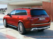 Mercedes Maybach GLS 600 4Matic - SUV siêu sang 4 chỗ ngồi - đặt xe ngay