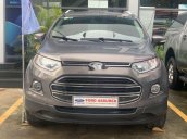 Bán Ford EcoSport Titanium sản xuất 2015, màu xám, giá tốt