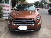 Bán Ford EcoSport sản xuất 2019 chính chủ