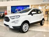 Ford EcoSport Titanium 1.5 AT sản xuất 2021 giảm giá cực sâu, hỗ trợ phí trước bạ