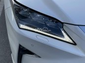 Cần bán gấp Lexus RX 350 sản xuất năm 2019 full option