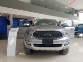 Bán Ford Everest Titanium 4WD 2021, màu bạc - Chỉ cần trả trước 280tr