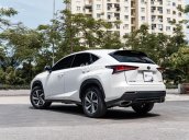 Cần bán lại xe Lexus NX 300 AT năm 2018