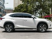 Cần bán lại xe Lexus NX 300 AT năm 2018