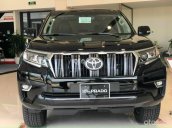 Bán xe Toyota Land Cruiser Prado VX đời 2021, màu đen, nhập khẩu Nhật Bản