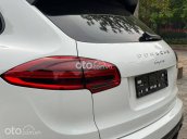 Poscher Cayenne Platinum sx 2017, màu trắng, nhập khẩu