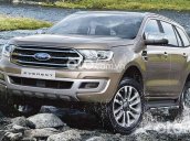 Bán Ford Everest sản xuất năm 2021, màu vàng cát, nhập khẩu nguyên chiếc