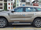 Bán Ford Everest sản xuất năm 2021, màu vàng cát, nhập khẩu nguyên chiếc