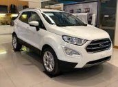 Bán Ford EcoSport 1.0L AT Titatium 2021, màu trắng, giá tốt
