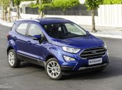 Cần bán xe Ford EcoSport 1.0L AT Titatium đời 2021, màu xanh lam