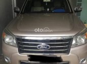 Bán ô tô Ford Everest AT sản xuất năm 2010, màu bạc chính chủ