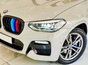 Cần bán gấp BMW X3 năm sản xuất 2019, màu bạc