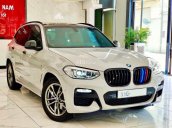 Cần bán gấp BMW X3 năm sản xuất 2019, màu bạc
