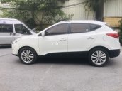 Cần bán gấp Hyundai Tucson đời 2010 nhập khẩu nguyên chiếc, máy dầu, số tự động