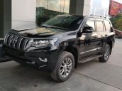 Bán xe Toyota Land Cruiser Prado năm sản xuất 2021, màu đen, nhập khẩu