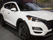 Bán ô tô Hyundai Tucson sản xuất 2019, màu trắng chính chủ  