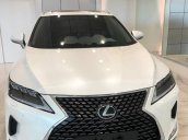 Bán ô tô Lexus RX 300 đời 2021, màu trắng, nhập khẩu